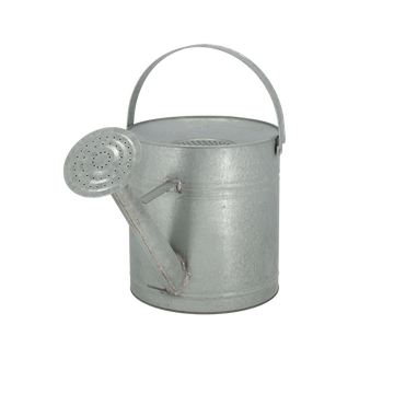 Esschert Design Gieter oud zink met wateropvangsysteem