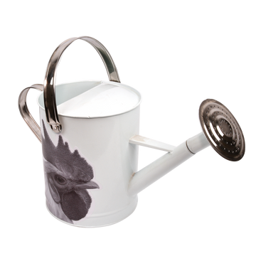 Esschert Design Gieter Haan 5 Liter 44,5 X 25 Cm Zink Wit