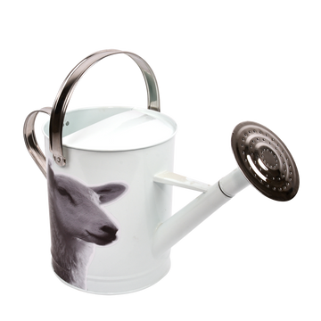 Esschert Design Gieter Schaap 5 Liter 44,5 X 25 Cm Zink Wit